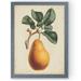 August Grove® 'Antique Pear Botanical I' by Paul Cezanne - Picture Frame Painting Print Canvas in Green/Orange | 22 H x 16 W x 1 D in | Wayfair