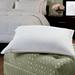 Arsuite Crissyfield Hotel & Resort Down Blend Medium Support Pillow Down & Feathers/100% Cotton in White | 20 H x 36 W x 4 D in | Wayfair