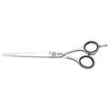 JAGUAR White Line JP 10 Offset Hairdressing Scissors, 6.5-Inch Length, Silver, 0.03597 kg