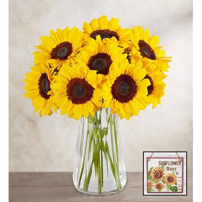 1-800-Flowers Flower Delivery Sunflower Bouquet 10 Stems W/ Sunflower Pitcher & Sunflower Wall Décor | Happiness Delivered To Their Door