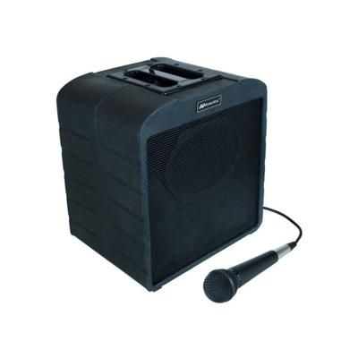 AmpliVox Basic Wired AirVox Bundle Black S6920