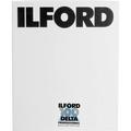 Ilford Delta 100 Professional Black and White Negative Film (4 x 5", 25 Sheets) 1743445