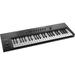 Native Instruments KOMPLETE KONTROL A49 - 49-Key Controller for KOMPLETE 25237