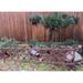 MGP 16 in. H x 4 ft. W Willow Lawn Edging Wood in Brown | 16 H x 48 W x 1 D in | Wayfair WE-42-6