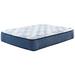 Signature Design Mt Dana Plush Queen Mattress in White - Ashley Furniture M62231