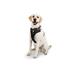 Black Front Walking Dog Harness, Small