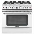 Capital Culinarian Series 36" 4.9 cu. ft. Freestanding Gas Range, Stainless Steel in White | 36 H x 35.88 W x 28.5 D in | Wayfair MCR366NG