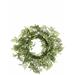 Gracie Oaks Artificial 12" Wisteria Wreath Traditional Faux in Green | 12 H x 12 W x 4 D in | Wayfair 823AEF94D6054C8D89690DEEB9CFBFB8