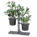 17 Stories 2 Artificial Succulent Plant in Pot Set Glass/Plastic | 19 H x 18 W x 10 D in | Wayfair E8F8EE56FDC14519AA2ACC31C964ABF8