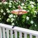 Ophelia & Co. Hummingbird Birdbath w/ Rail Mount Bracket Metal/Copper in Black/Brown | 17.25 H x 13.75 W x 19.5 D in | Wayfair HBBB-01-RM