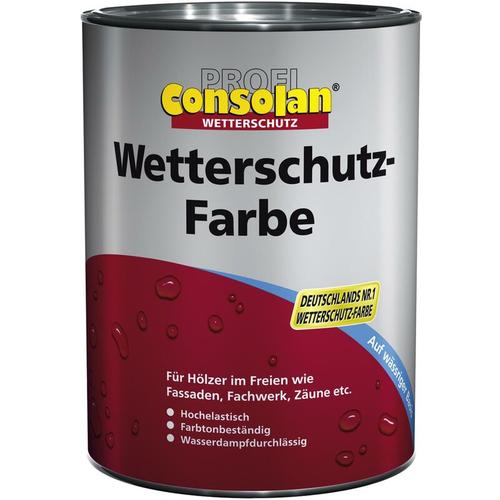 Wetterschutzfarbe 10 l schwarz 209 Farbe Wetterschutz Holzfarbe – Consolan