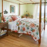 Coastal 3-Pc. Quilt Set by BrylaneHome in Coral Multi (Size KING)