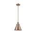 Innovations Lighting Bruno Marashlian Appalachian 8 Inch Mini Pendant - 201S-AC-M13-AC-LED