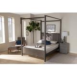 Baxton Studio Natasha Modern Grey Fabric & Dark Grey Oak Finished Wood King Size Platform Canopy Bed - Wholesale Interiors MG0021-2-Gray/Green Gray-King