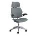 Humanscale Freedom Headrest Task Chair Aluminum/Upholstered in Gray | 54.28 H x 26.75 W x 25 D in | Wayfair F211ACF56XFSHNSC