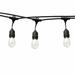 The Holiday Aisle® Feliciana 24' Outdoor LED 12 - Bulb Globe String Light in Black | 24 W in | Wayfair 8745185BD9C24E48ACA3CA2EC549584B