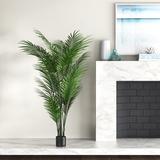 Beachcrest Home™ 76" Artificial Areca Palm Tree in Pot Plastic | 76 H x 30 W x 30 D in | Wayfair E8220D622B5C4C1C8F57B18D046B4D80