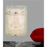 Vault W Artwork The Proportions of the Human Figure' by Da Vinci Glossy Poster Paper | 72 H x 51.5 W in | Wayfair WNPR6934 41867321