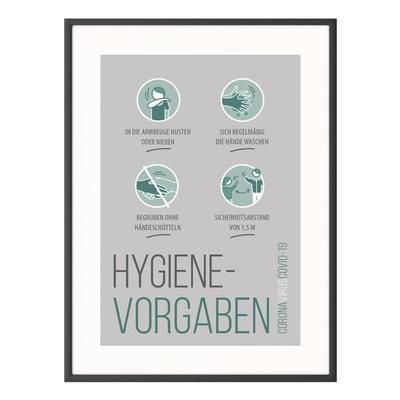 Hinweisschild »Hygiene-Vorgaben« 50 x 70 cm grün, Paperflow, 50.6x70.6 cm