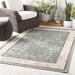 Montross 3'7" x 5'7" Traditional Black/Dusty Sage/Light Beige/Light Brown/Beige/Brown/Medium Gray/Dark Red Outdoor Area Rug - Hauteloom