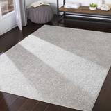 Canaseraga 2'7" x 4'11" Traditional Light Gray/Off White Area Rug - Hauteloom