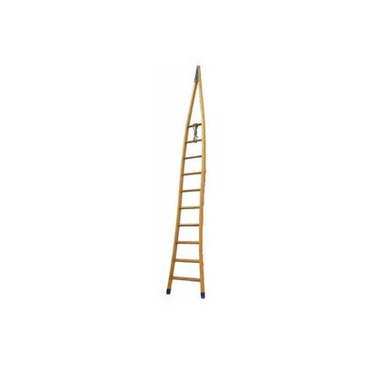 Echelle Direct - Obstbaumleiter spitz zulaufend 2,50m 6 Stufen - FRUI-250 Image