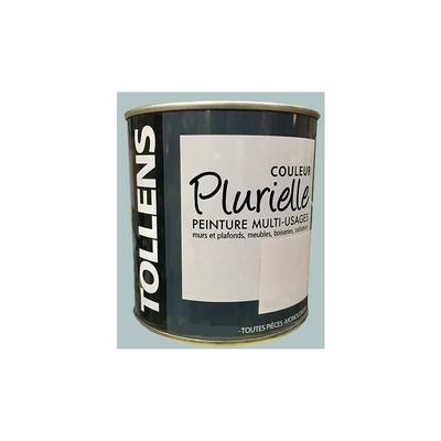 TOLLENS Peinture acrylique multi-usages 'Couleur Plurielle' satin Poétique 0,5 L - Poétique