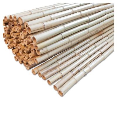 Windhager Sichtschutzmatte Bambusmatte Ontake natur Bambus 180x180 cm