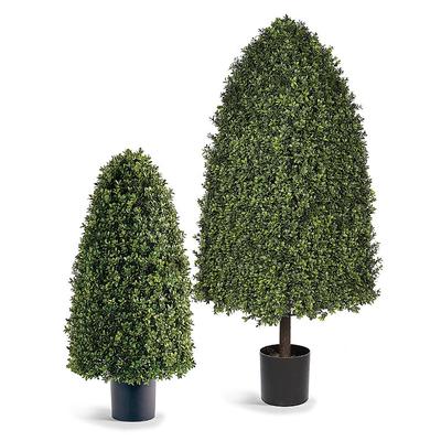 Rounded Cone Outdoor Boxwood Topiary - 38" - Frontgate