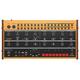 Behringer CRAVE Analog Synthesizer Analog Semi-Modular Synthesizer with 3340 VCO, Classic Ladder Filter, 32-Step Sequencer and 16-Voice Poly Chain