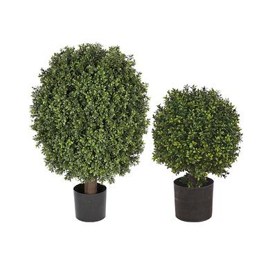 Single Ball Outdoor Boxwood Topiary - 34" - Frontgate