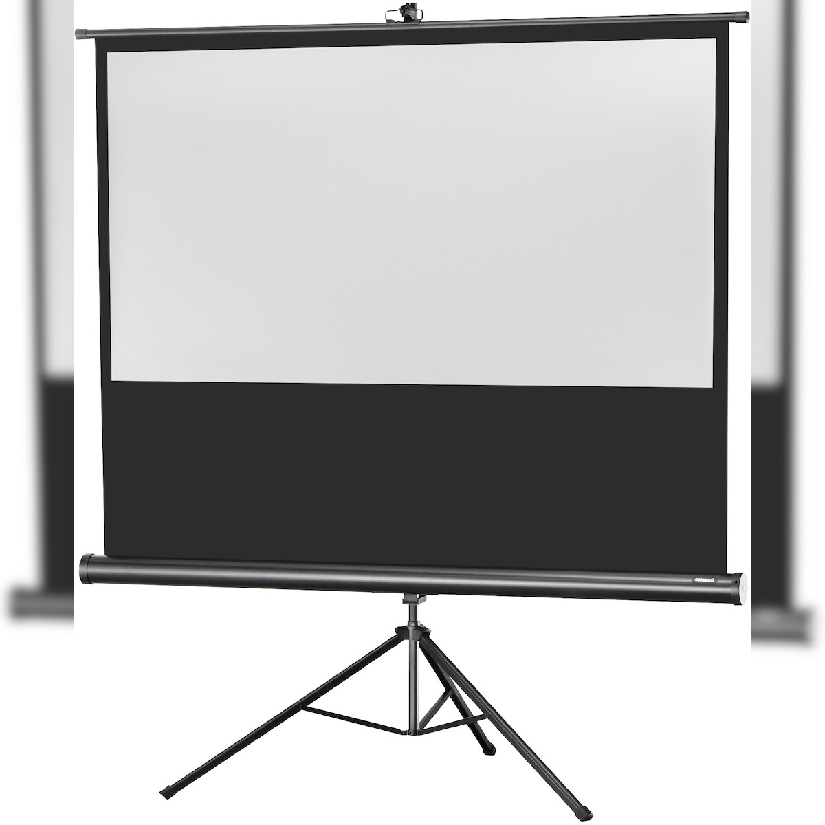 celexon Stativleinwand Economy 184 x 104 cm Image