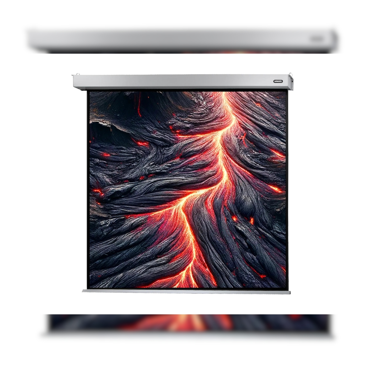 celexon Leinwand Motor Professional Plus 200 x 200 cm Image