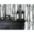 Nextwall Birch Trees 18' L x 20.5" W Peel & Stick Wallpaper Roll Vinyl in Brown/Gray/White | 20.5 W in | Wayfair NW34800