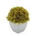 Winston Porter Hydrangea Floral Arrangements in Pot Fabric in Green | 11 H x 10 W x 10 D in | Wayfair 5C576BC3633340C5989EE74BD1510BBC