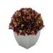 Red Barrel Studio® Hydrangea Centerpiece in Vase Fabric | 11 H x 10 W x 10 D in | Wayfair 72FCF20EA7C44C23B0DC365FEB444D66