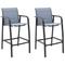 vidaXL Garden Bar Chairs 2 pcs Grey Textilene