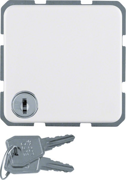 Berker Schuko-Steckd.pws 476309 Image