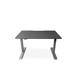 Symple Stuff Melanda 48" Standing Desk Wood/Metal in Gray | 48 W x 28 D in | Wayfair F15D1A6F8A804773BAF9DC86DD5DB6DD