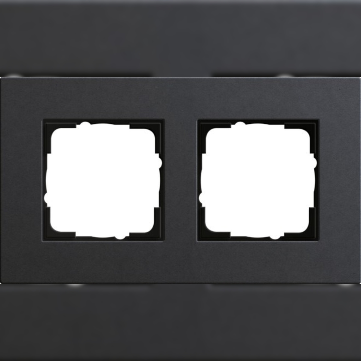 Gira Abdeckrahmen 2fach 0212226 Image