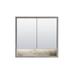 Latitude Run® Asbell Surface Mount Framed 2 Doors Medicine Cabinet w/ 2 Adjustable Shelves & LED Lighting in Gray | 29 H x 32 W x 6.3 D in | Wayfair