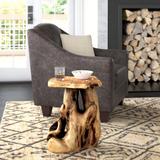 Foundry Select Gerrity Solid Wood Tree Stump End Table Wood in Brown | 19 H x 14 W x 16 D in | Wayfair 873C75F2FE684544BC4DF1A2BB030DEC