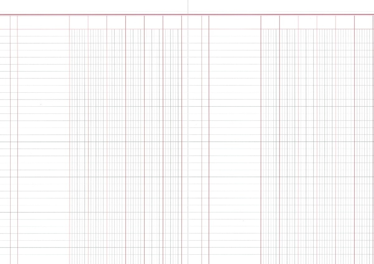 RNK Spaltenbuch A4 kartoniert 6 Spalten/1 Seite 30 Blatt Image