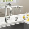 KRAUS Oletto Pull-Down Kitchen Faucet & Purita Water Filter Faucet Combo in Gray | Wayfair KPF-2620-FF-100CH