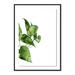 Four Hands Art Studio 'Pothos II' by Jess Engle - Picture Frame Print on Paper Plastic in Green/White | 48 H x 34 W x 2.5 D in | Wayfair