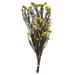Vickerman 653838 - 16" Yellow Rice Flower 4-5 oz (H1RCF700) Dried and Preserved Flowering Plants