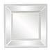 House of Hampton® Griswalda Mirrored Frame Wall Mirror, Glass | 20 H x 20 W x 1 D in | Wayfair HOHM2569 34629900