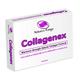Collagenex (2)