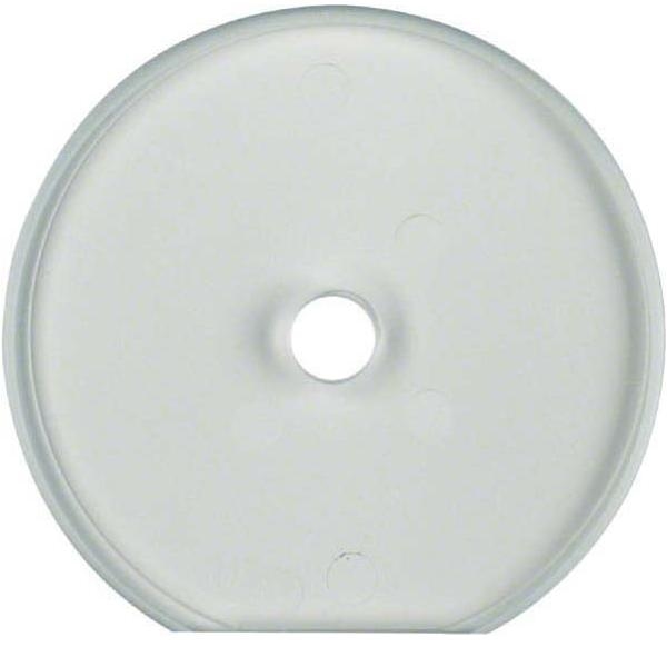 Berker Glasplatte 1094 Image