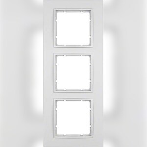 Berker Rahmen alu/matt 10136424 Image